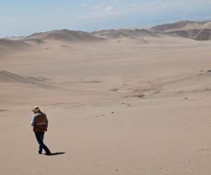 WhatsApp Image 2025-06-06 at 11.43.46