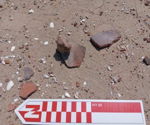 WhatsApp Image 2025-06-06 at 11.44.33 (1)