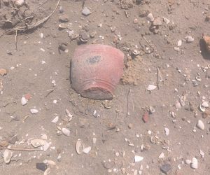 WhatsApp Image 2025-06-06 at 17.24.58