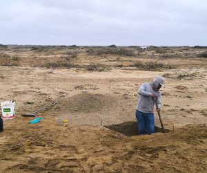 WhatsApp Image 2025-06-06 at 17.27.22