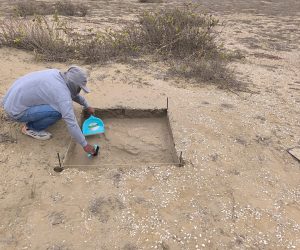 WhatsApp Image 2025-06-06 at 17.29.49